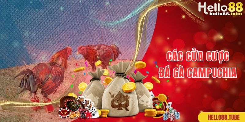 Đá Gà Campuchia Hello88: Thiên Đường Kiếm Tiền Không Giới Hạn 2 Các cửa cược phổ biến của đá gà Campuchia online