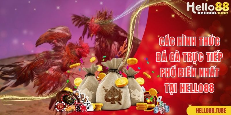 Đá Gà Trực Tiếp Hello88: Sàn Đấu Của Những Chiến Kê Mạnh Mẽ 3 Một số hình thức cá cược đá gà trực tiếp hot hit tại Hello88
