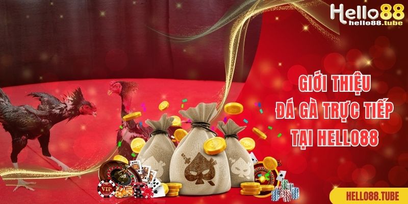 Đá Gà Trực Tiếp Hello88: Sàn Đấu Của Những Chiến Kê Mạnh Mẽ 1 Khám phá sảnh cược đá gà trực tiếp hấp dẫn số 1 tại Hello88