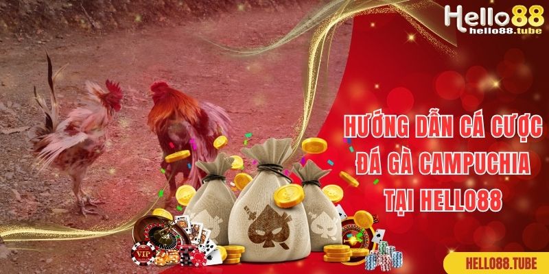 Đá Gà Campuchia Hello88: Thiên Đường Kiếm Tiền Không Giới Hạn 3 Hướng dẫn cược đá gà Campuchia tại website Hello88